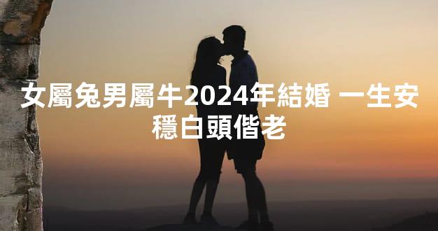 女屬兔男屬牛2024年結婚 一生安穩白頭偕老